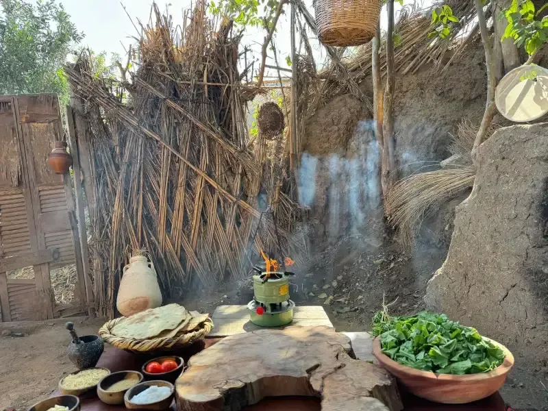 Egyptian countryside farm tour from Cairo — water buffalo in the Nile Delta